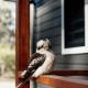 Tuckeroo Cottages - Rosella Cottage, Maroon - Fotografie 2