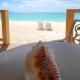 Rendezvous Bay Hotel, Lower South Hill (photo 3)