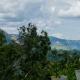 Mountain Lodge, Bandarawela (Foto 6)