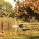 Lakeside haven cottage - Macedon ranges, Riddell (foto 2)
