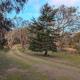 Lakeside haven cottage - Macedon ranges, Riddell (foto 3)