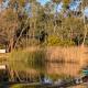 Lakeside haven cottage - Macedon ranges, Riddell (foto 6)