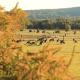 Lakeside haven cottage - Macedon ranges, Riddell (foto 7)