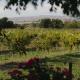 Arcadia Agriturismo, San Nicola Manfredi (fotografie 4)