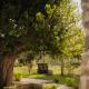 Arcadia Agriturismo, San Nicola Manfredi (fotografie 6)