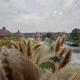 Charming House with Gardens and Family-Friendly Amenities, Nottingham (fotografie 4)