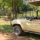 Buffelshuis Safari Camp, Golders Green (fotografie 3)
