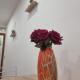 Stella Rosa Home, Palermo - Foto 9