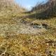 Seaside Sanctuary with Whirlpool-By Traum, Neder Lysabild (Foto 10)