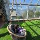 luxury villa in murree for families and couples, Murree (photo 2)