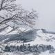 Fiocco di Neve, Massa dʼAlbe (Foto 2)