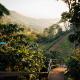 Hidden for Rest, Ban Huai Khai (foto 8)