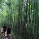 H'mong Eco House, Lao Cai (fotografie 3)