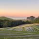 Sea & Mountain Views Retreat on Rosemary Farm Waihi - Photo 1