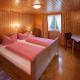 Alps Hoamat Ferienchalet, Mellau (foto 10)