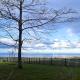 Peaceful Seaside Stay for Couples & Digital Nomads, Tallinn (Foto 6)