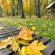 SPA house, Druskininkai (fotografie 4)