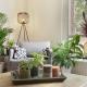 Group-Friendly Stay in Tilburg Walk to 013, Tilburg (zdjęcie 10)