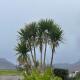 The Killarney Hideaway, Killarney (fotografie 7)