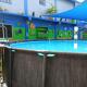 Blue Morpho Suite, Orange Walk (photo 10)