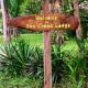 Sun Creek Lodge, Punta Gorda (fotografie 3)