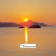 Theoxenia