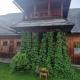 Sękowa Chata, Zakopane, Domek, Zakopane (photo 6)