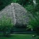 Marari Beach Resort Alleppey - A CGH Earth Experience, Alleppey - Photo 8