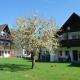 Fewo Stricker 11,, Walkenried (foto 6)