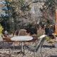 Garden Oasis In Bern, Liebefeld (fotografie 4)