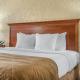 Clarion Hotel Broken Arrow - Tulsa, Broken Arrow (foto 3)