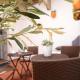 Combro by Patio 25, Lisbon - Photo 5