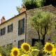CasaVostra - Ambience Suites, Ostra Vetere (photo 2)