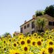 CasaVostra - Ambience Suites, Ostra Vetere