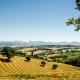 CasaVostra - Ambience Suites, Ostra Vetere (photo 10)
