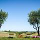 CasaVostra - Ambience Suites, Ostra Vetere (photo 7)