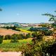 CasaVostra - Ambience Suites, Ostra Vetere (photo 3)