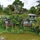 Rainforest Nest