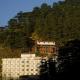 Hotel Silverine, Shimla - Photo 8