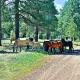 Forest edge, wild mustangs nearby, balcony views By Vacation Your Way