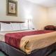 Wingate By Wyndham Columbia Fort Jackson, Columbia - Photo 8