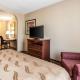 Quality Suites Paducah I-24, Paducah (fotografie 8)