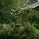 Birdsland Suite, Belgrave Heights (foto 9)
