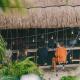 Mayan Monkey Tulum - Social Hotel, Tulum (zdjęcie 2)