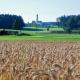 Gasthaus Hingerl, Obing - Foto 9