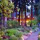 Harmony Ridge Lodge, Nevada City (zdjęcie 3)