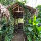 Calamansi Garden - Full House Rental, Burgos (foto 10)