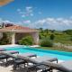 Luxury villa Monte with pool in Vizinada, Vižinada (zdjęcie 9)
