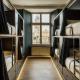 dreamfactory - Hostel Krakow, Kraków