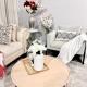 Spacious & Comfy Upper Floor 3BR Suite in Detached House, Calgary (foto 7)